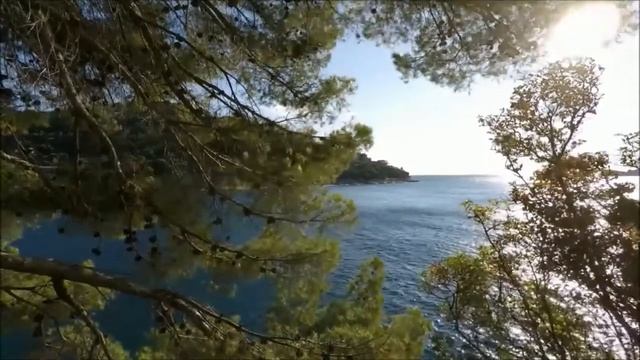 Медитация на обретение внутренней силы! смотреть онлайн