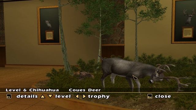 Hunting Desert Trophies in Cabela's Outdoor Adventures! смотреть онлайн