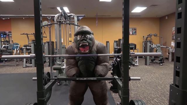 Godzilla Vs Kong Gym Showdown! смотреть онлайн