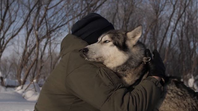 поселок Усть-Камчатск смотреть онлайн