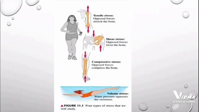 Ch#11 .Elasticity & periodic motion.Topic 11.1 stress,strain,deformations,tensile stress BS physics смотреть онлайн