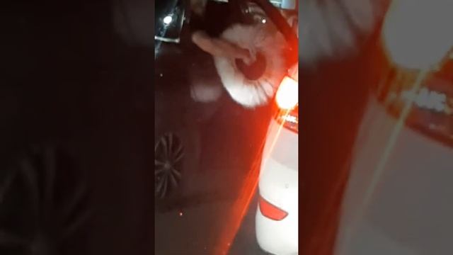 После боя Хабиба Нурмагомедова смотреть онлайн