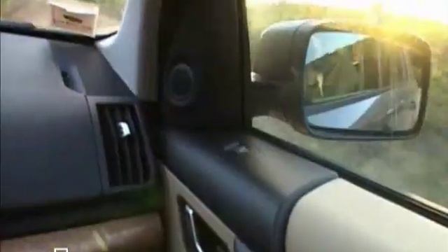 LR Freelander 2 after 100000 km смотреть онлайн
