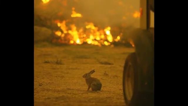 Пропаганда Пожарная Безопасность смотреть онлайн