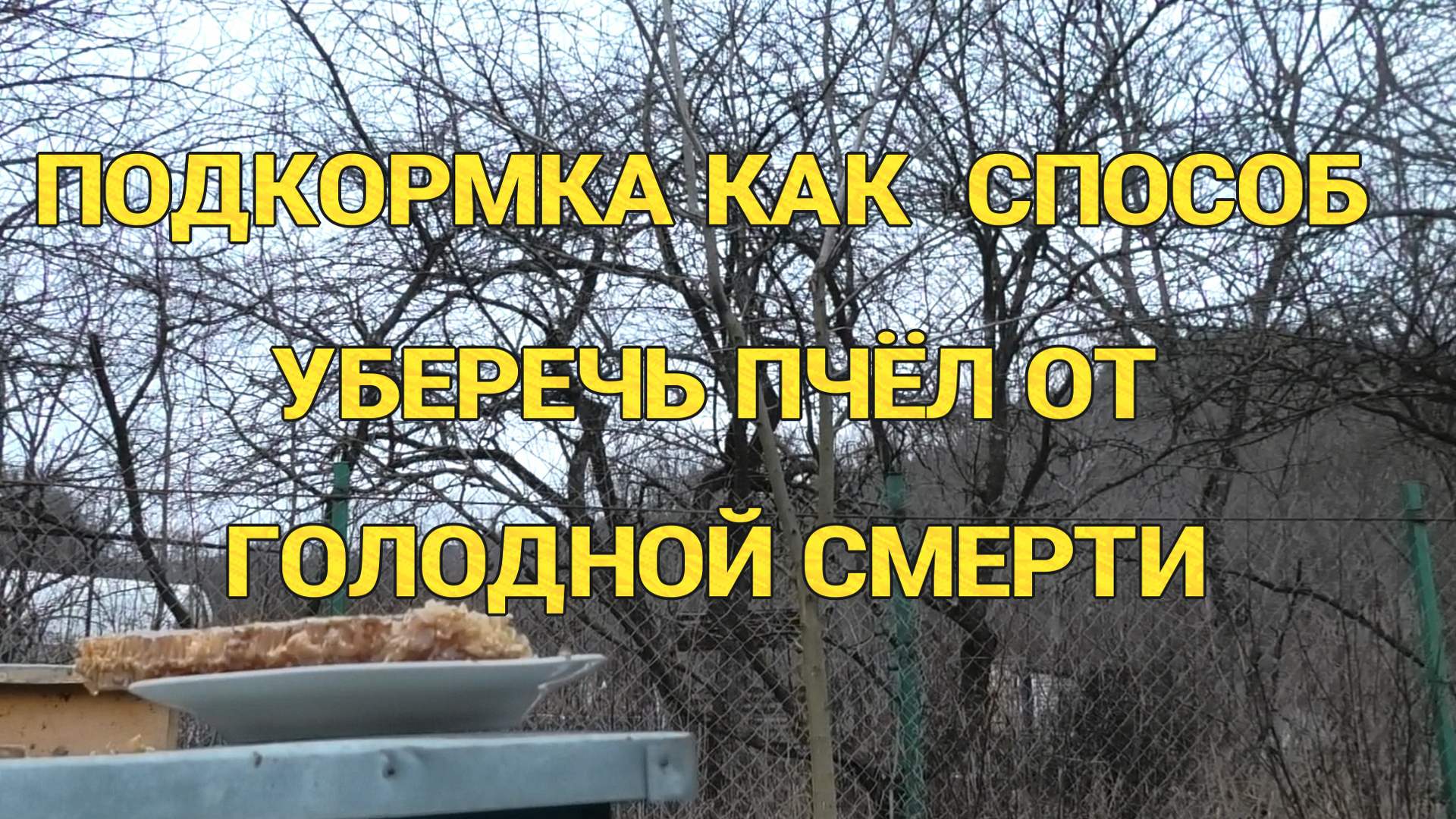 РАЗДАЧА КОРМА ПЧЁЛАМ,ПОЭТАПНАЯ ПОДГОТОВКА К НОВОМУ СЕЗОНУ. смотреть онлайн