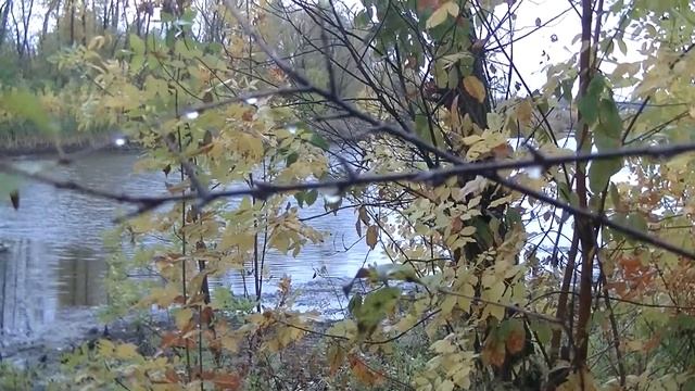 Рыбалка Чардым 14 10 17 смотреть онлайн