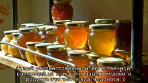 Почему мед не засахарился в течение года