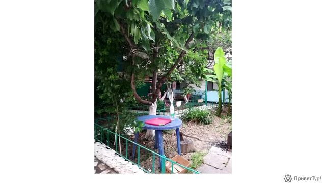 Гостевой дом «На Корабельном» Лазаревское, пер. Корабельный, д. 8/1 смотреть онлайн