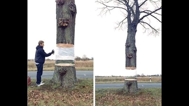 Показалось? | Мемозг #3 смотреть онлайн