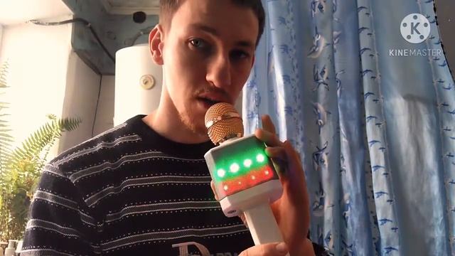 Инструкция к караоке микрофону WSTER WS-1828. смотреть онлайн