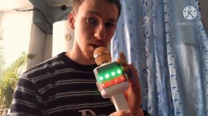 Инструкция к караоке микрофону WSTER WS-1828.