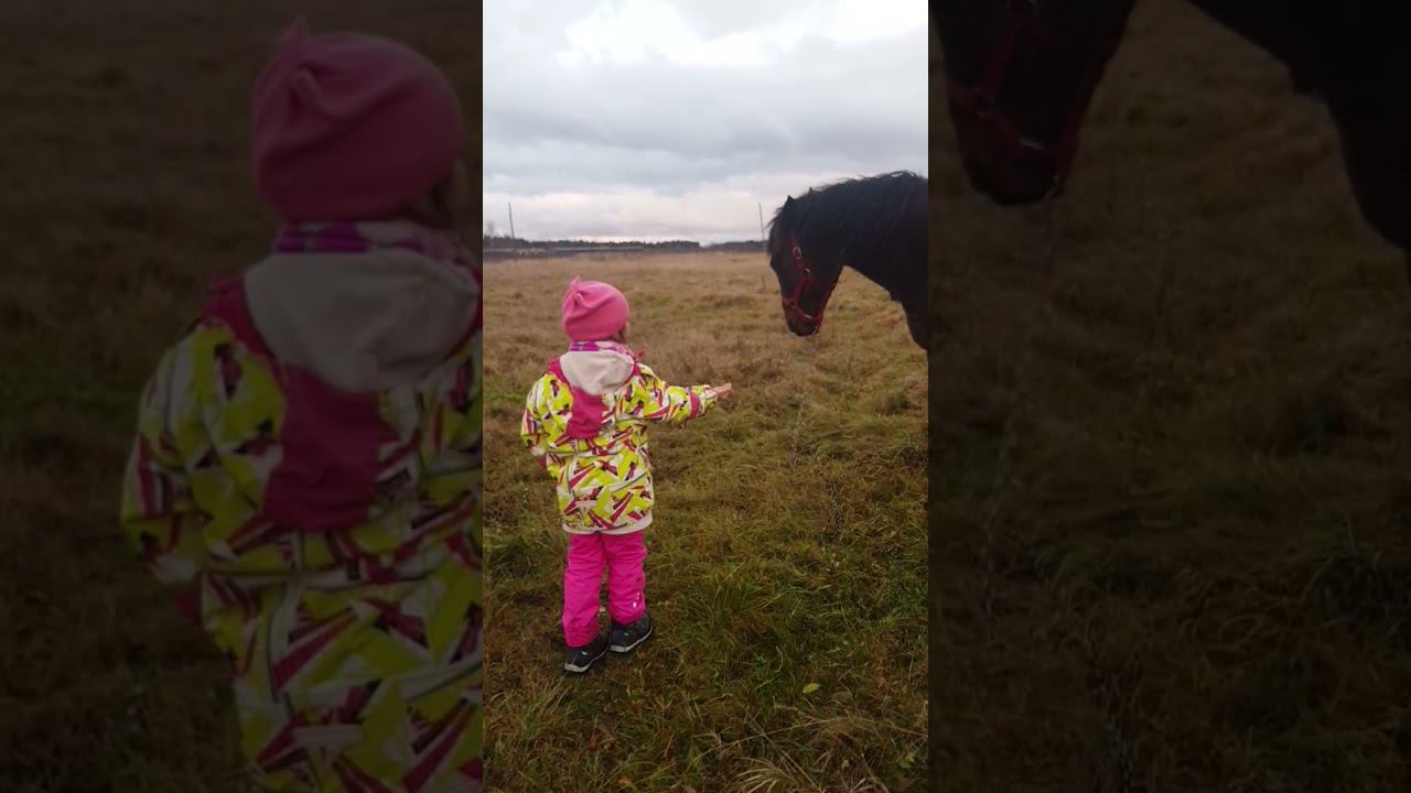 12 ноября 2021 г. смотреть онлайн