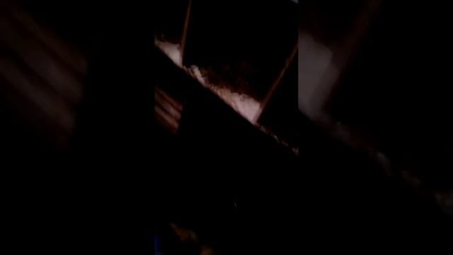 Как заставить кур неслись в зимние время смотреть онлайн