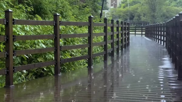 Лучший звук дождя от бессонницы, сон во время дождливой погоды ASMR расслабляющий белый шум