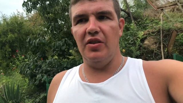 Абхазия.Август 2021г.Продукты питания.Электричество.Сотовая связь.Интернет.Дельфинарий. смотреть онлайн