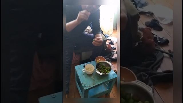 ЖОСКИ ОТВЕТ ДА ГАРИБО! смотреть онлайн