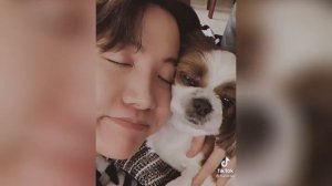 смешные и милые моменты с бтс из тиктока 💜