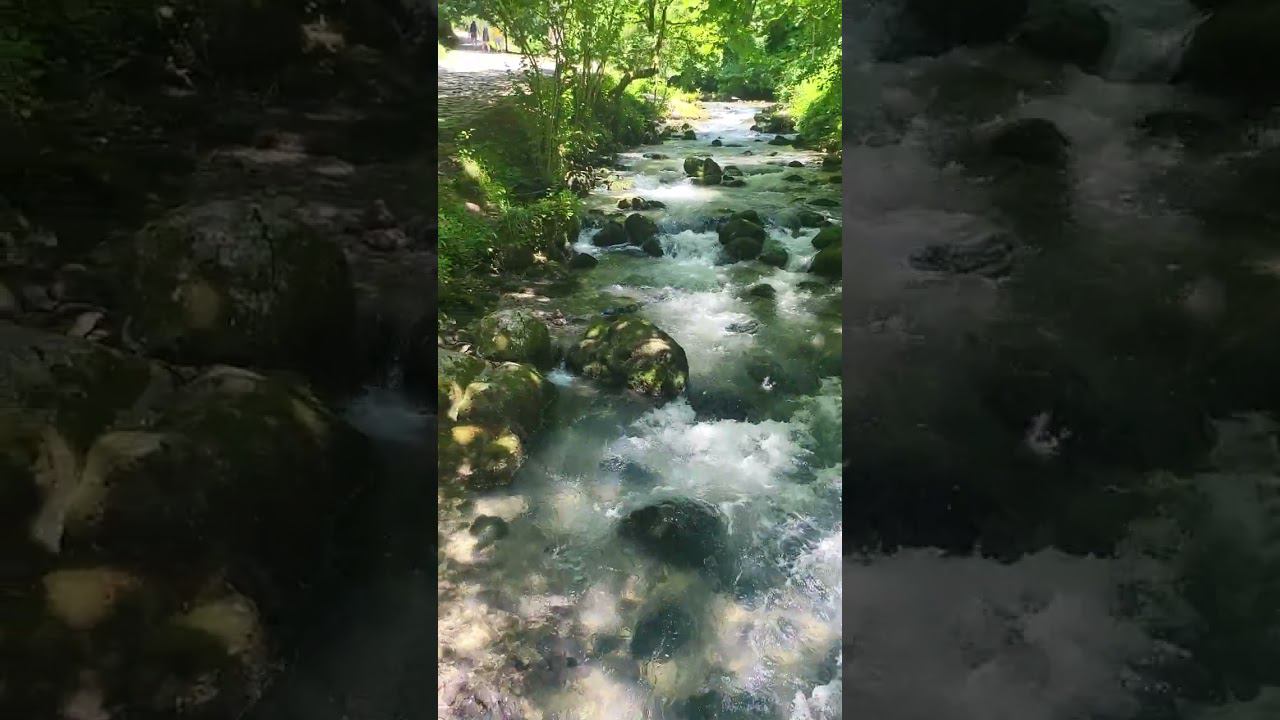 здесь на Galeon'e не пройти смотреть онлайн