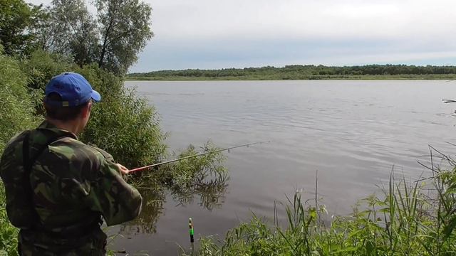 РЫБАЧИМ ДАЛЕКО ОТ ДОМА! Поймали ЛЕЩА, ПЛОТВУ, КРУПНУЮ ГУСТЕРУ И ... смотреть онлайн