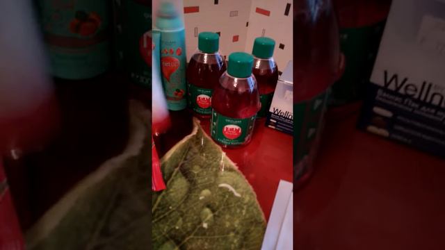 Мой заказ в 17 2017 каталоге Орифлейм смотреть онлайн