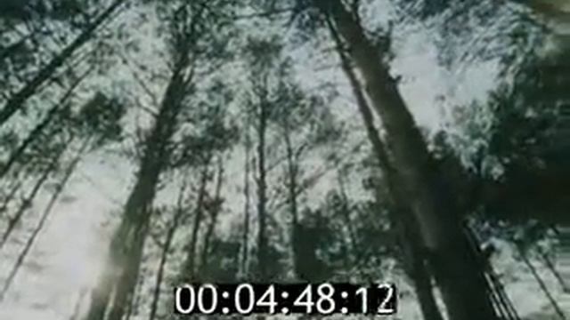 Mikhail Chekalin Absolute solo Interviev video смотреть онлайн