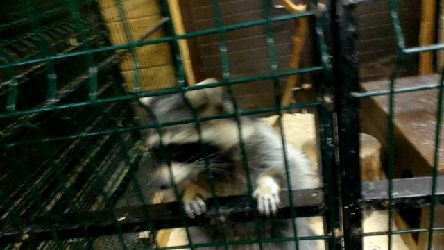 WP 20160211 0031 смотреть онлайн