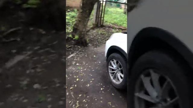 Тоже до замены цепей n20b20 смотреть онлайн