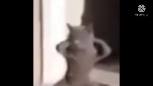 Sacred Stronghold Cover (Happy BDay Qualm) смотреть онлайн