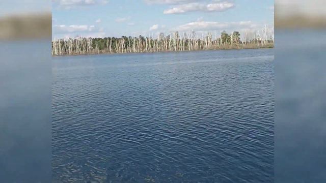 nature of kazakhstan (Природа Казахстана) #деревня #природа #казахстан #релакс #озеро #путешествия смотреть онлайн