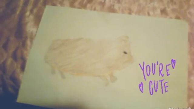 Я нарисовала мою Морскую Свинку ? смотреть онлайн