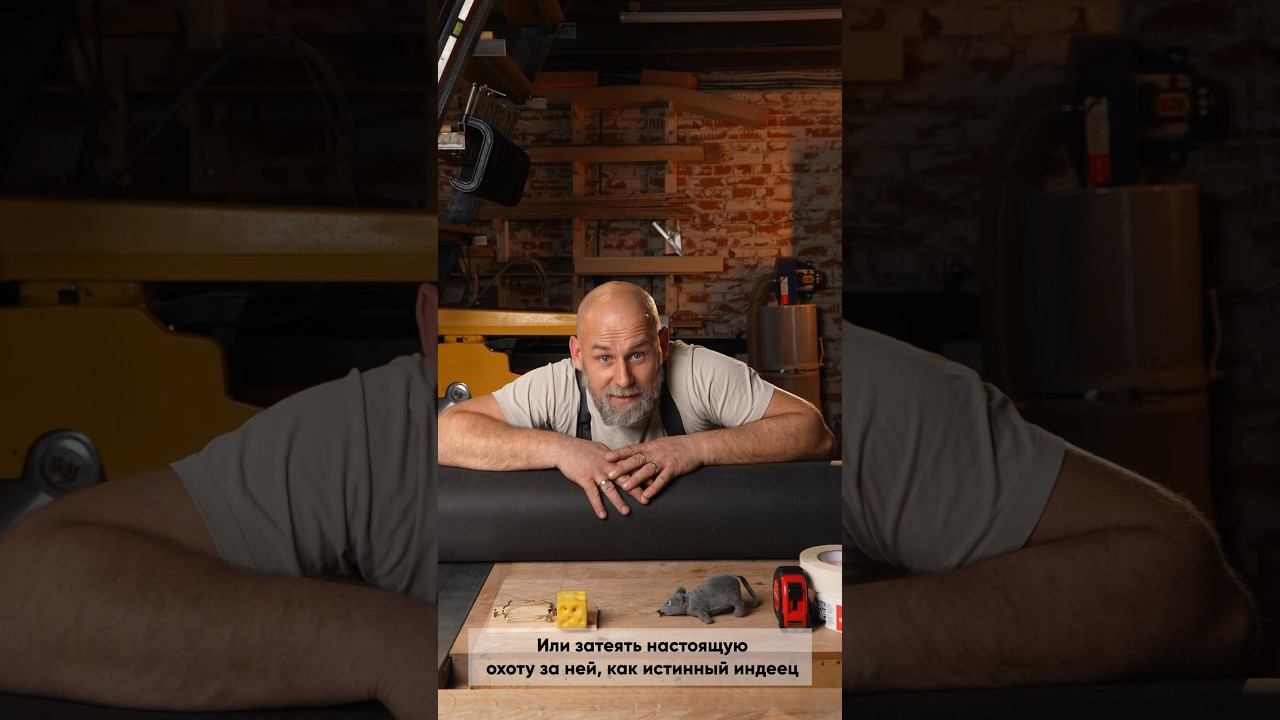 Поможет ли плёнка защитить дом от грызунов? #shorts #каркасныйдом #пленка смотреть онлайн