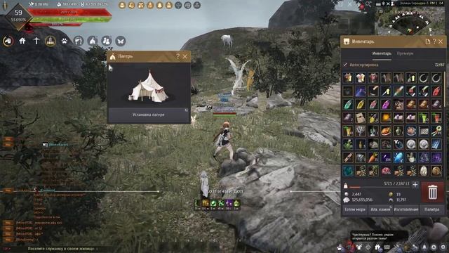 BlackDesert. Плановое развитие персонажа ч.3 ШОП, Бартер, Кач