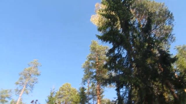 Анатоль Багатыроў: "Кантата "Беларускія песні". "Зашумела сасонушка". смотреть онлайн