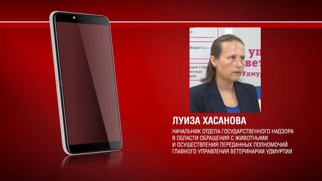 Месячник стерилизации животных 09.11.2021 смотреть онлайн