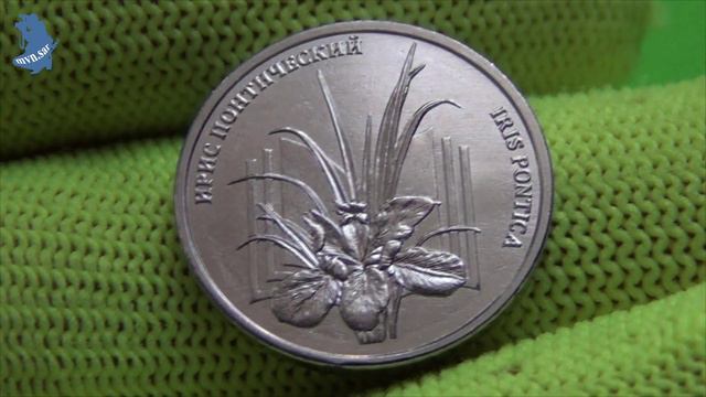 Приднестровье .1 рубль 2024 года. ИРИС ПОНТИЧЕСКИЙ. Красная книга .Флора. #775 смотреть онлайн