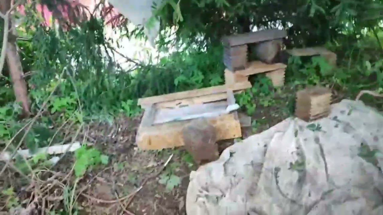 Наша зелëная квартира часть 2 смотрим изменения! смотреть онлайн