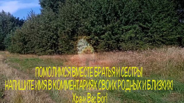ВКЛЮЧИТЬ СЕБЕ И ПОСТАВЬ БОЛЬНОМУ. смотреть онлайн