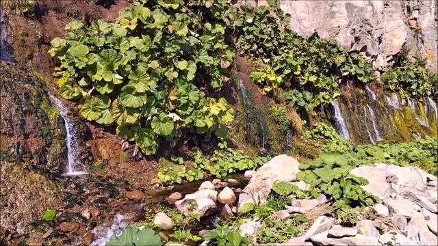 Екатерина_К