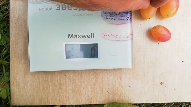 г.ф. Николь. 2020 смотреть онлайн