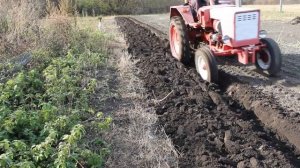Трактор т 25 плуг ПЛН 1-35 перепахиваем огород (2021)