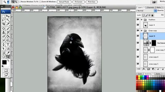 Photoshop "Пернатый Иллюстрация Ворон" смотреть онлайн