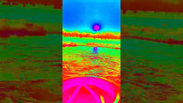 Уаде бер | Ботанический Сад Алматы| Казахстан смотреть онлайн