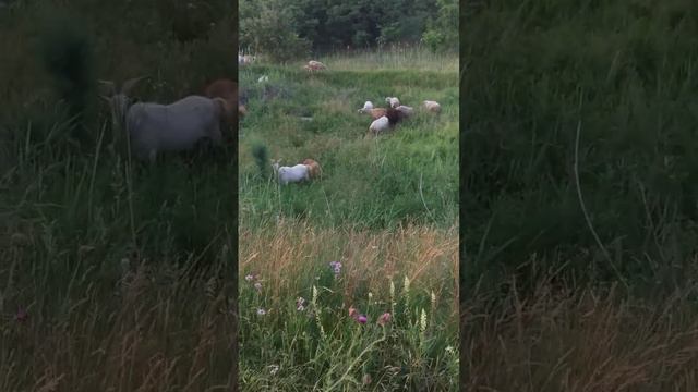 14 ноября 2023 г..mp4 смотреть онлайн