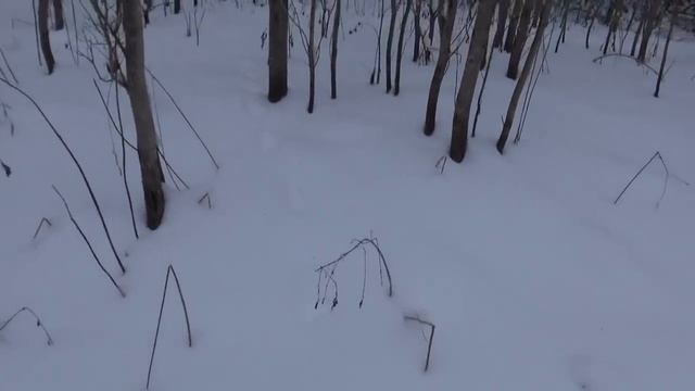 Проверка капканов на куницу на снегоходе. смотреть онлайн