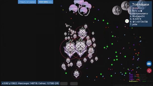 PetriDish.pw | Чашка Петри | Petri Dish | Прозрачные скины | NewYear