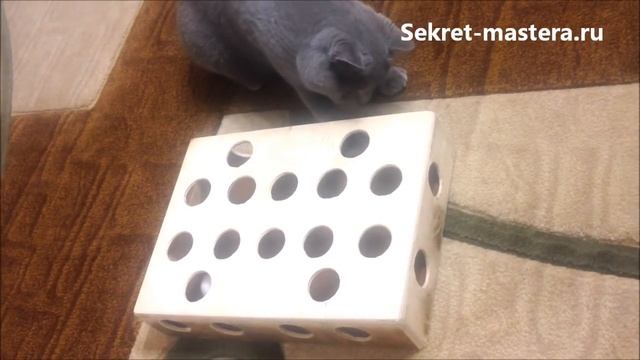 Как Сделать Игрушку для Кошки Своими Руками / Мастер класс Секрет Мастера смотреть онлайн