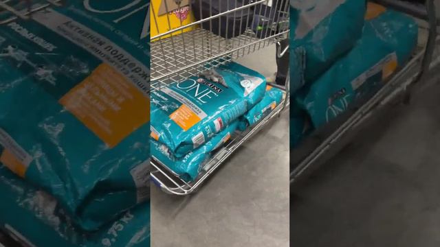 На закупке 😊 смотреть онлайн