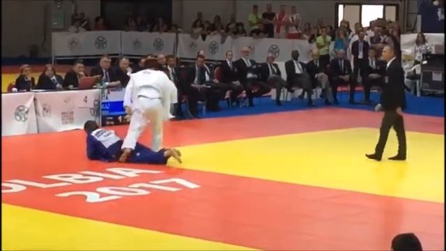 Final World Judo Championship Veterans 2017, M4, 90 kg (full video) смотреть онлайн