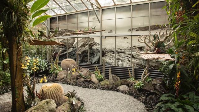 Introduction To Salvador Dali: Gardens Of The Mind