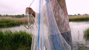 рыбалка   НАКИДКОЙ  парашютом РЫБЫ МНОГО